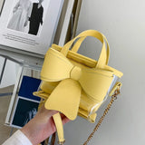 Mini Transparent Chain Messenger Bucket Bag