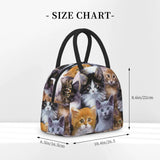 Cat Pattern Insulated Lunch Bag Thermal Bento Handbag