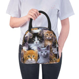 Cat Pattern Insulated Lunch Bag Thermal Bento Handbag