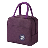 Portable Insulated Lunch Bag Office Cooler Bento Pouch Food Storage Handbag