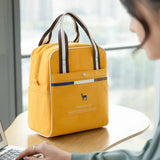 Portable Women's Thermal Lunch Bag Insulated Lunch Box Waterproof Picnic Tote