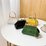 Women's Shoulder Bag Handbag Crossbody Purse