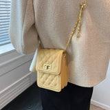 Women's Small Crossbody Bags Chain Shoulder Handbags