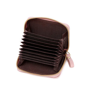 RFID Anti-theft Brush Organ Card Bag Zipper Small Wallet Driver's Bag