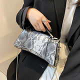 Vintage Snake Pattern Totes Bag with Chain Handbag