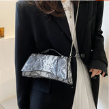 Vintage Snake Pattern Totes Bag with Chain Handbag