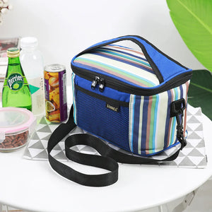5L Thermo Cooler Bag Cartoon Portable Waterproof Ice Bag Insulated Lunch Box