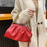 Chain Shoulder Bag Crossbody Purse for Women