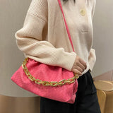 Chain Shoulder Bag Crossbody Purse for Women