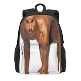 Shemar Moore Backpacks for Men and Women