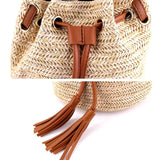 Summer Beach Bags Tassels Crossbody Bag Weaving Money Bank Knitted Handbag