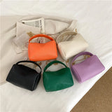 Lychee Pattern Chain Bag for Women Purses and Handbags