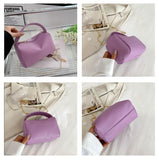 Lychee Pattern Chain Bag for Women Purses and Handbags