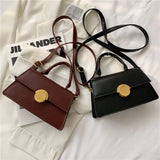 Small Square Bag Novelty Crossbody Bags for Women