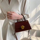 Small Square Bag Novelty Crossbody Bags for Women