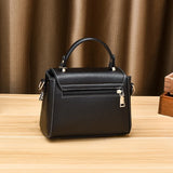 Small Bag Women's Hand-held Shoulder Bag Spring All-match Messenger Bag