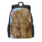 Sleeping Cat 1 Backpacks Men's Backpacks Bags For Women Vintage Kids Backpack