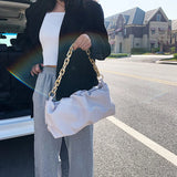 Small Hobo Crossbody Bags High Leather Handbags Chain Pleated Dumpling Totes