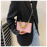 Small Box Thick Chain Shoulder Bag Acrylic PVC Chain Women Handbag