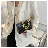Small Box Thick Chain Shoulder Bag Acrylic PVC Chain Women Handbag
