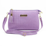Small Shoulder Bag Tassel Crossbody Flap Bag Solid Messenger Bag