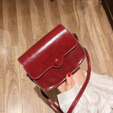 Small Vintage PU Leather Crossbody Handbag FTB074