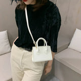 Solid Mini Crossbody Shoulder Bag for Women
