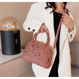 Leopard Crossbody Bag Spring Retro Versatile Handheld Bag