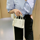 Retro Mini Crossbody Bag for Women Solid Flap Tote Messenger