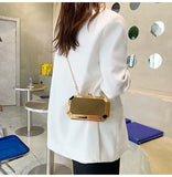 Small Metallic Box Chain Handbag Clutch Tote Bag