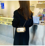 Small Metallic Box Chain Handbag Clutch Tote Bag