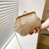 Raffia Boho Women Bag Waist Fanny Pack Crossbody Handbag B568