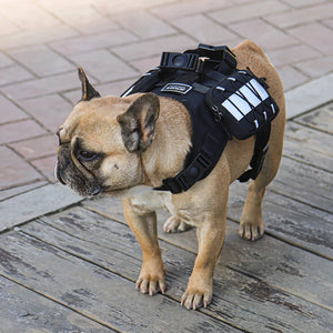 Reflective Adjustable Dog Backpack Harness for Small Dogs