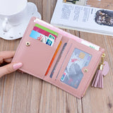 Mini Tassel Leather Wallet for Women Small Purse Female Bag