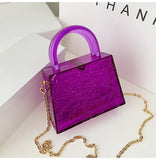 Small Transparent Top Handle Bag for Women