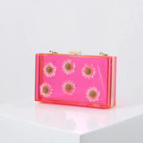 Clear Acrylic Box Clutch Shoulder Bag for Women