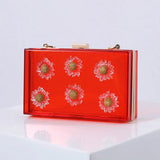 Clear Acrylic Box Clutch Shoulder Bag for Women