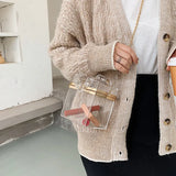 Acrylic Box Chain Crossbody Bag Women