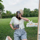 Transparent Chain Shoulder Bag Women's Casual Clip Messenger Bag
