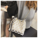 Transparent Composite Bag Polka Dot Printing Bowknot Chain PVC Woman Bag