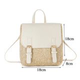 Retro Weave Mini Handbag Straw Backpack