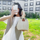 Woven Straw Bucket Bag Small Fresh Handbag Beach Bag Girl