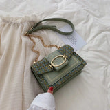 Wide Strap Shoulder Bags For Women Lady Handbags And Purses Chain