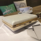 Elegant Mini Clutch Bag with Chain for Party Banquet