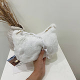 Vintage Acrylic Chain Plush Solid Small Shoulder Bag