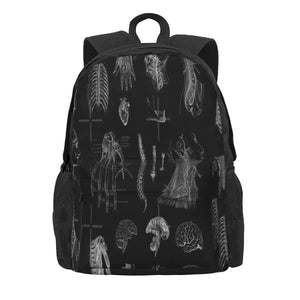 Vintage Anatomy Print Backpacks Men's Women Rucksack School Bags
