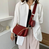 Vintage Crocodile Shoulder Bags Chains Handbags Crossbody Messe