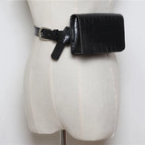 Animal Print Waist Pack Snake Skin Waist Belt High Female Purse T