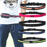 Waterproof Double Pocket Waist Hip Bag Adjustable Belt Bag