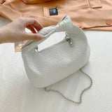 PU Leather Small Crossbody Bag with Chain Shoulder Handba
